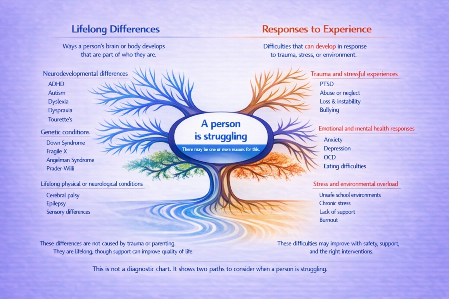 Pathways map showing lifelong differences vs responses to experience