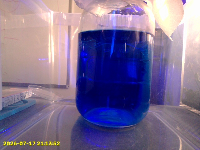 Latest copper sulphate crystal cam snapshot