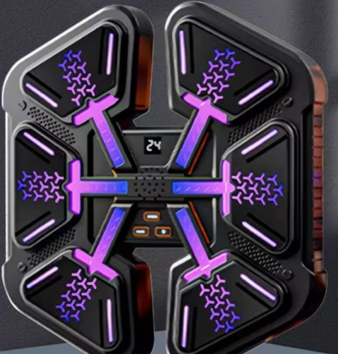 Electronic Boxing Training System for Kids & Teens